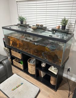 125 gallon fish tank and stand