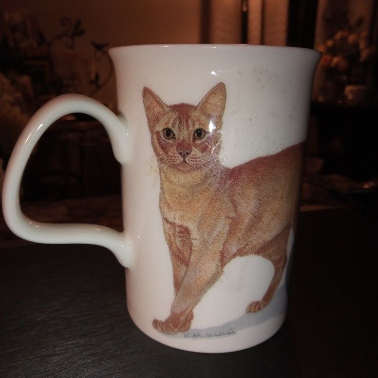 CATS GALORE VINTAGE ROY KIRKHAM , FINE BONE CHINA CUP