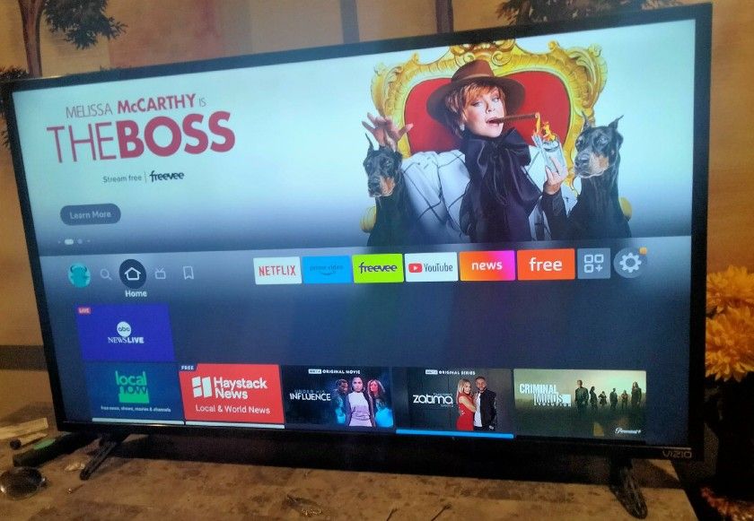 VIZIO SMART TV 44 "