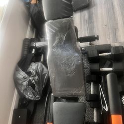 Weight Bench With Free Pull Up Bar 