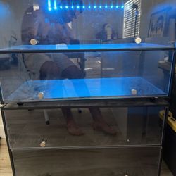 RBG Shoe Rack Storage 