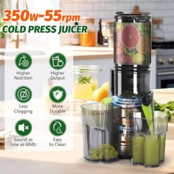  Cold Press Masticating Juicer 