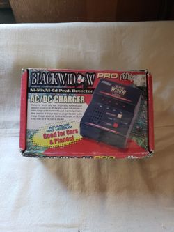 Blackwidow AC/DC Charger