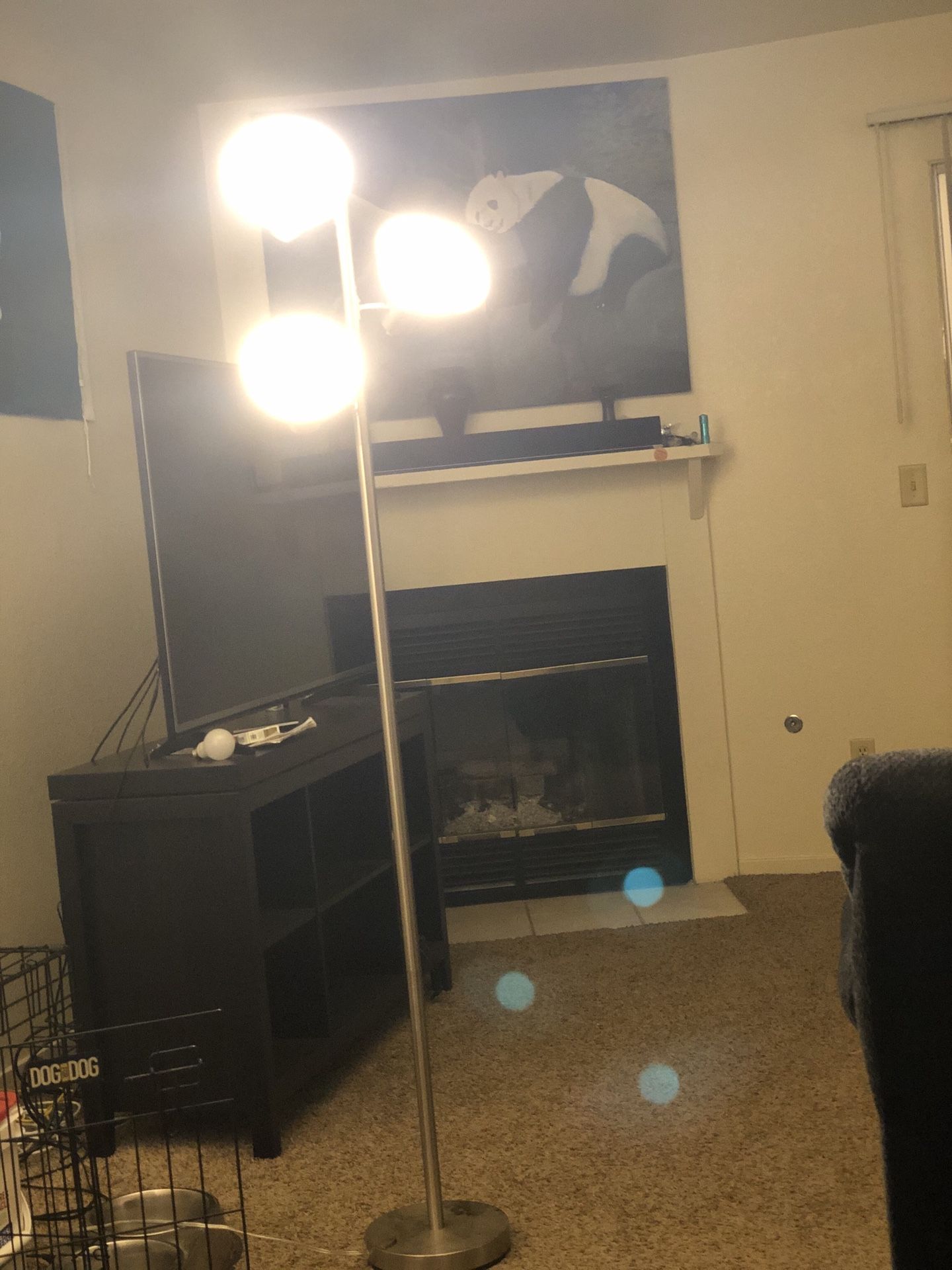 Floor Lamp for Living Rooms & Bedrooms