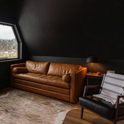 Leather Sleeper Sofa