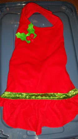 Holiday Pet Costume