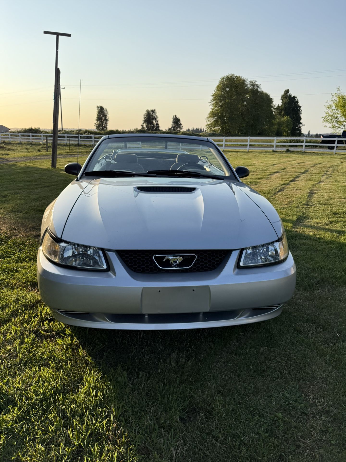1999 Ford Mustang