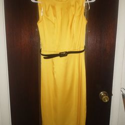 beautiful form fitting dress  with belt