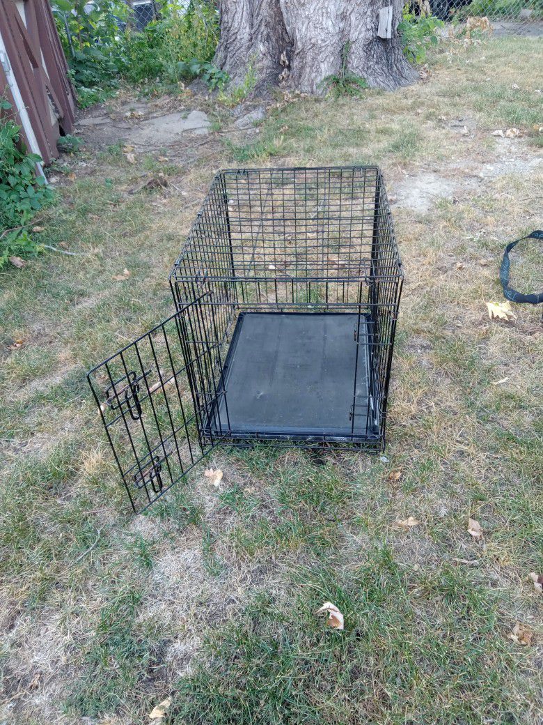 Small dog, kennel.
Solid condition