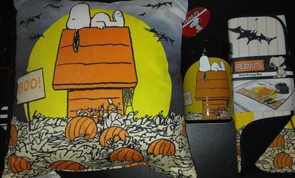**BraNd NeW ** PeAnuTs - Pillow , Large Open Jar & DisH MaT
