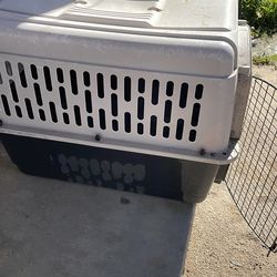 Big dog cage