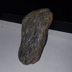 Beautiful Wood Grain Mineralized Petrified Wood Necklace Pendant