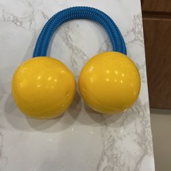 Ripe And Tug Dog Toy