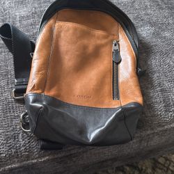 Mens Leather Coach Backpack 