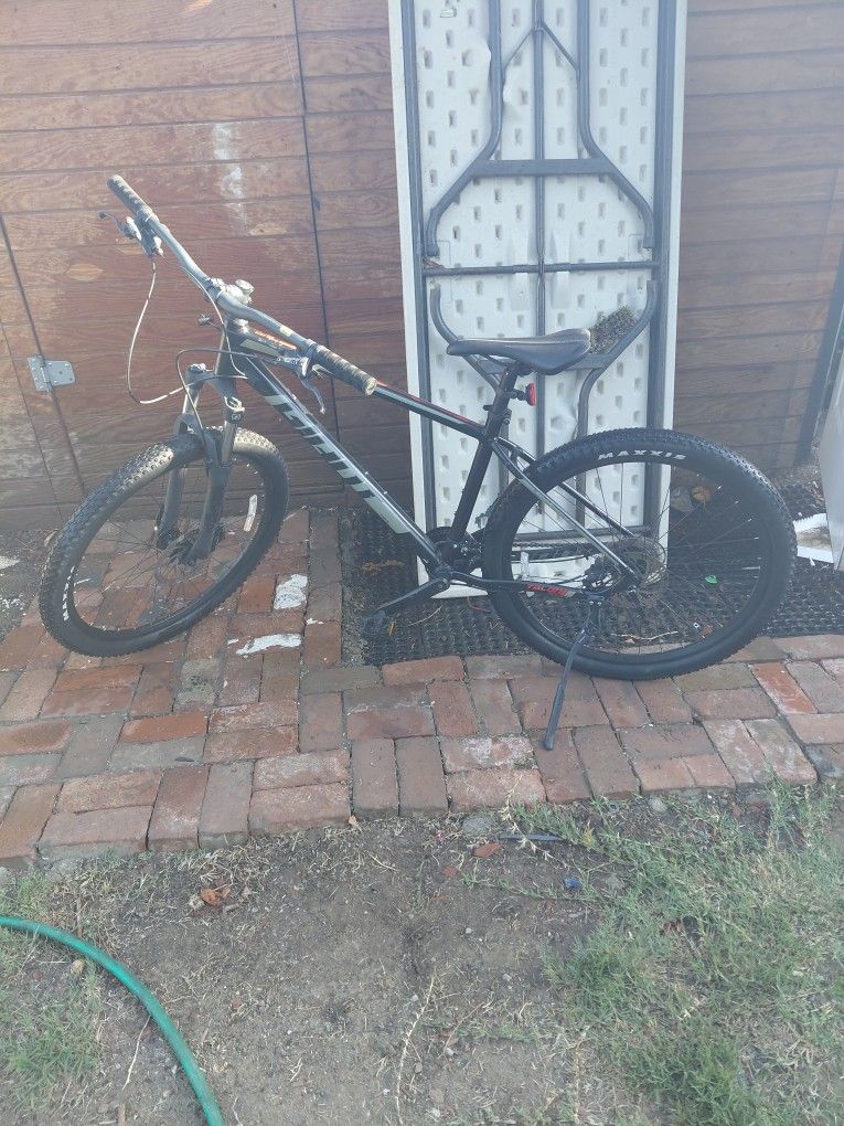 Giant Bike