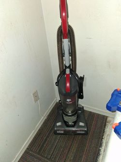 Dirt Devil Endura Max
