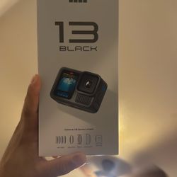 Gopro 13