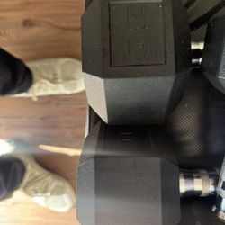 30lbs And 25lbs DBs