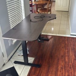 Raising/lowering Standing And Sitting Desk