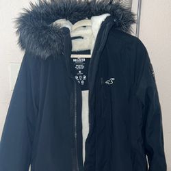 Hollister  Winter Jacket 