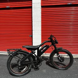 Electric Bike