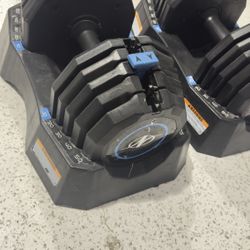 Adjustable Weights 