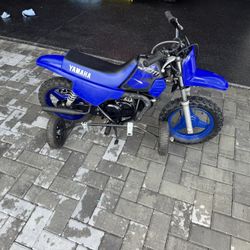 2024 Yamaha PW 50
