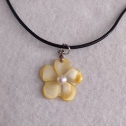 Choker Necklace With She'll Medallion