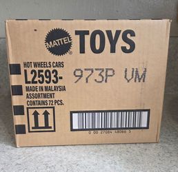 2026 HOT WHEELS  mainline  P CASE