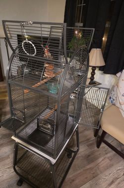 Bird cage