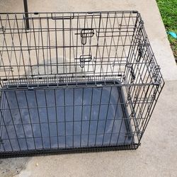 dog crate 