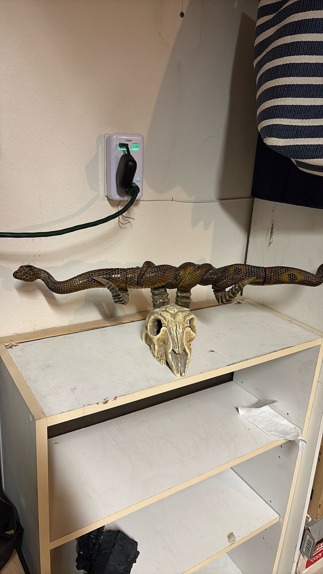 Rare vintage skull with snakes