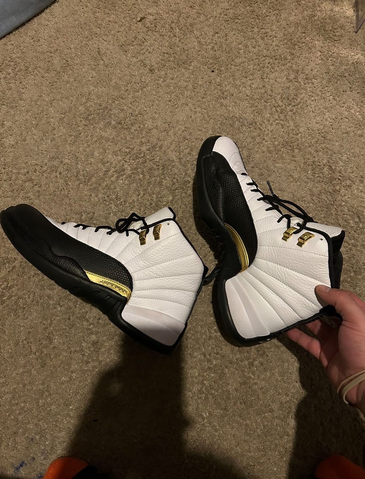 Mens Jordan 12 Size 11.5