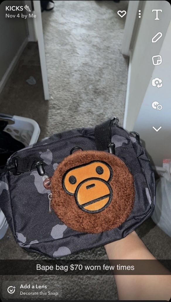 Bape Bag