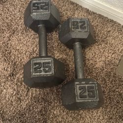 Pair Of 25 Pound Dumbbells