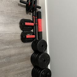 Gym and Dumbbell Set