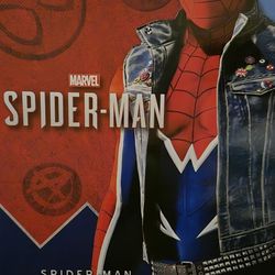 Hot Toys Spider Punk Spider-man 
