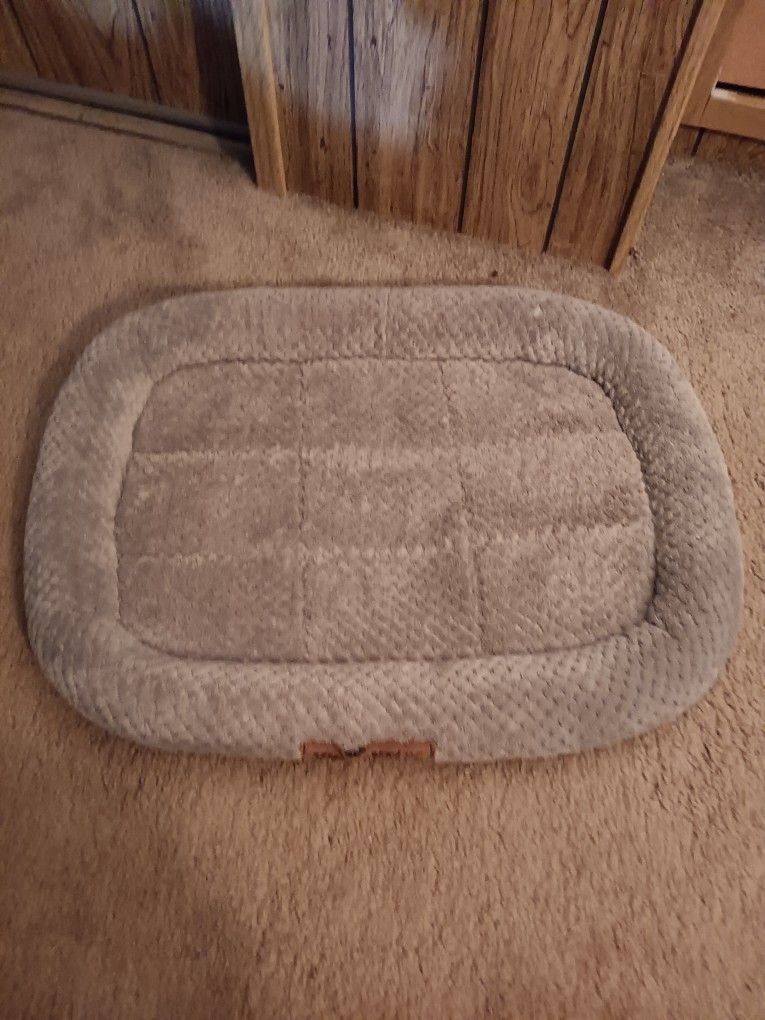 Small Dog Bed