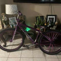 SE Purple Rain 29 Inc 