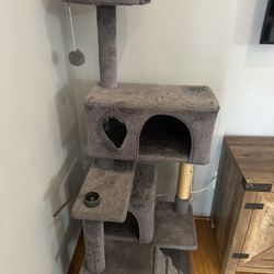 Cat House