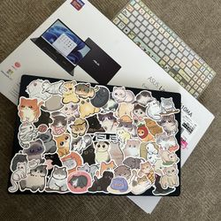 Asus 15.6” 128gb