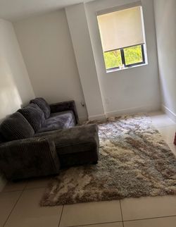 Couch and rug
