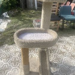 Cat Tree.   