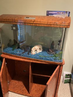 Aqua Vim Curved Glass 60 Gallon Aquarium and supplies shown
