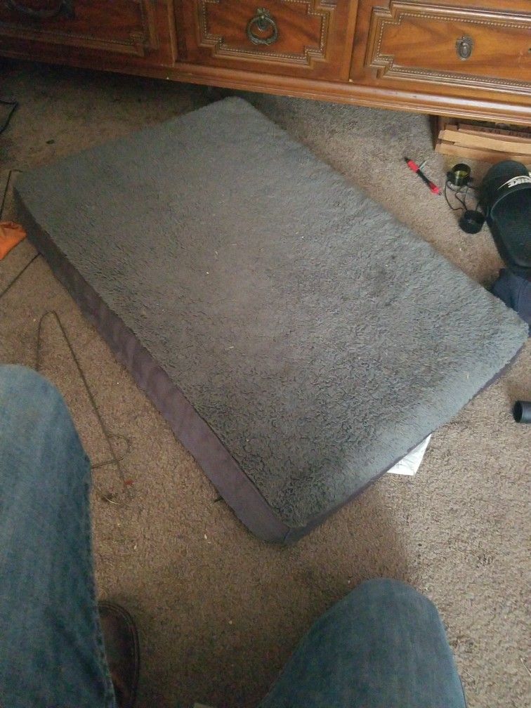 Dog Bed