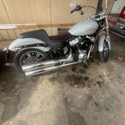 Harley Davidson Softail Standard 2024 