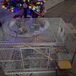 Bird Cage 