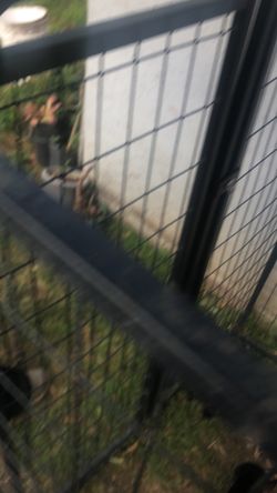 Im Selling Dogs Cage