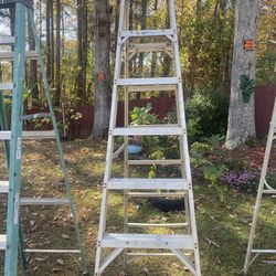 8ft Ladder