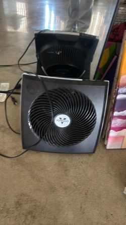 fan